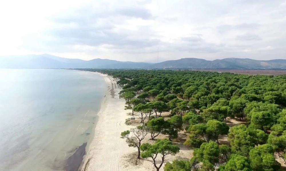 Βλήμα του Β' Παγκοσμίου Πολέμου εντοπίστηκε στον Σχινιά